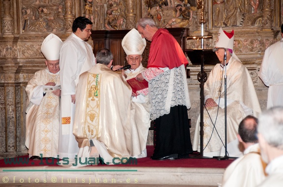 Ordenacion Obispo Barbastro-Monzon Angel Perez Pueyo-144