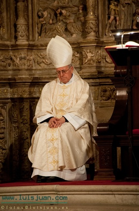 Ordenacion Obispo Barbastro-Monzon Angel Perez Pueyo-221